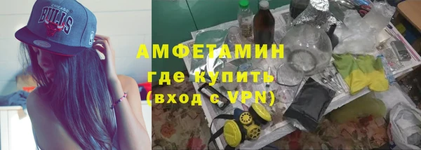 индика Белокуриха