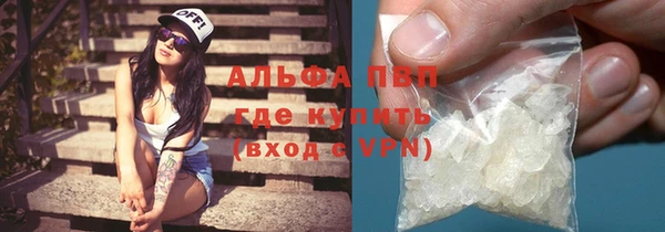 индика Белокуриха