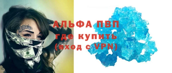 индика Белокуриха