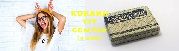 индика Белокуриха
