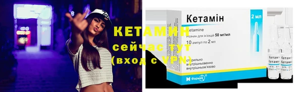 индика Белокуриха
