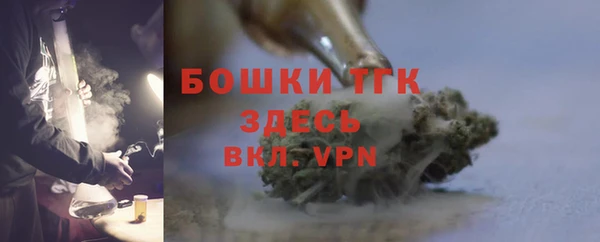 индика Белокуриха
