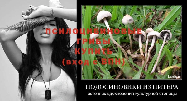 ПСИЛОЦИБИНОВЫЕ ГРИБЫ Беломорск