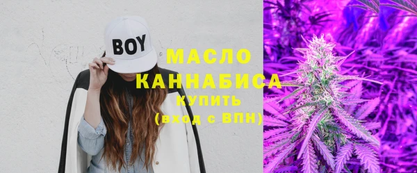 индика Белокуриха