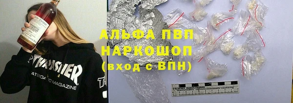 индика Белокуриха